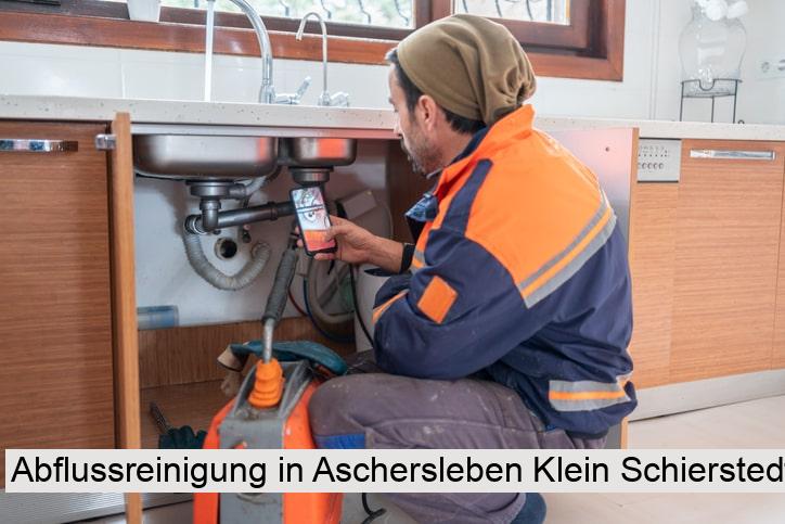 Abflussreinigung in Aschersleben Klein Schierstedt