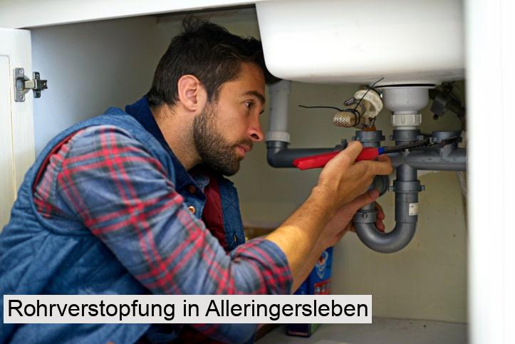 Rohrverstopfung in Alleringersleben