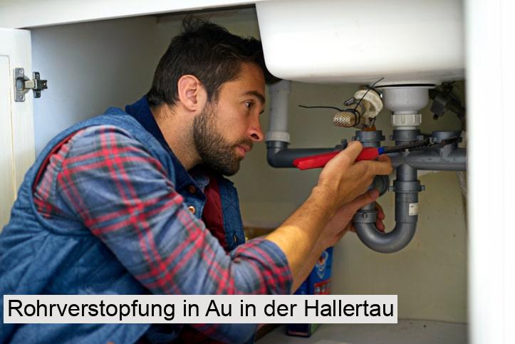 Rohrverstopfung in Au in der Hallertau