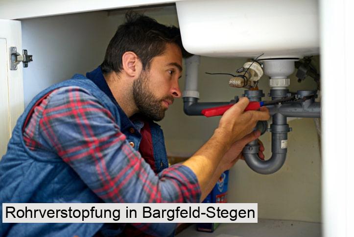 Rohrverstopfung in Bargfeld-Stegen