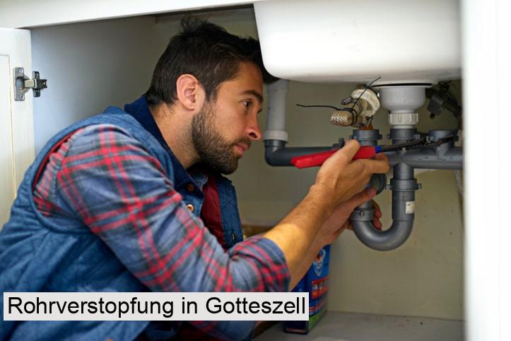 Rohrverstopfung in Gotteszell