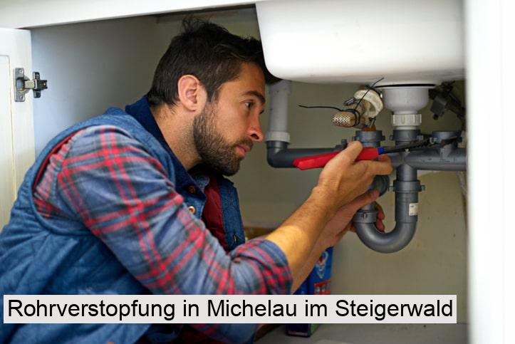 Rohrverstopfung in Michelau im Steigerwald