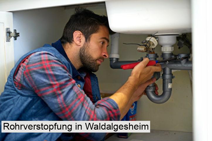 Rohrverstopfung in Waldalgesheim