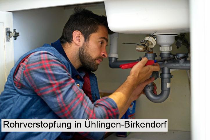 Rohrverstopfung in Ühlingen-Birkendorf