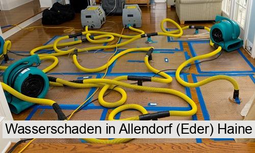 Wasserschaden in Allendorf (Eder) Haine