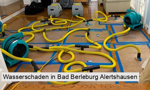 Wasserschaden in Bad Berleburg Alertshausen