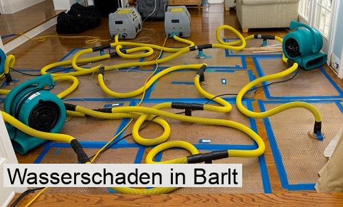 Wasserschaden in Barlt