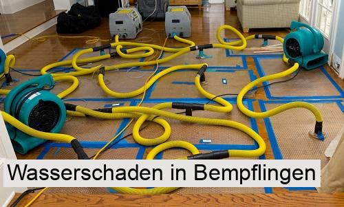 Wasserschaden in Bempflingen