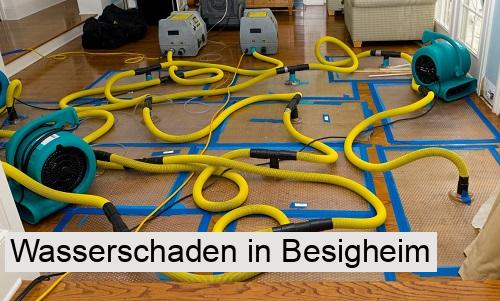 Wasserschaden in Besigheim