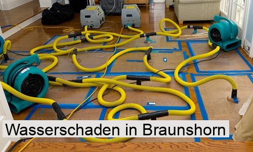 Wasserschaden in Braunshorn