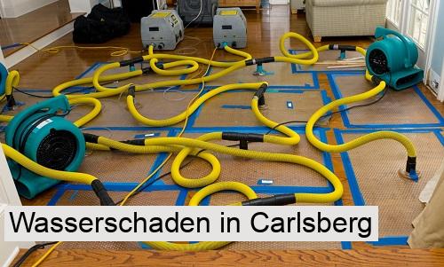 Wasserschaden in Carlsberg