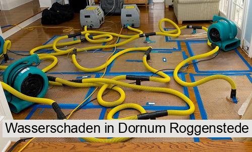 Wasserschaden in Dornum Roggenstede