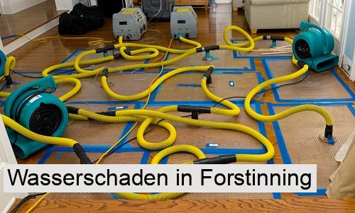 Wasserschaden in Forstinning