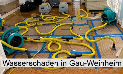 Wasserschaden in Gau-Weinheim