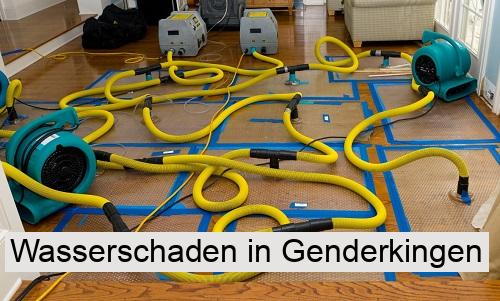 Wasserschaden in Genderkingen