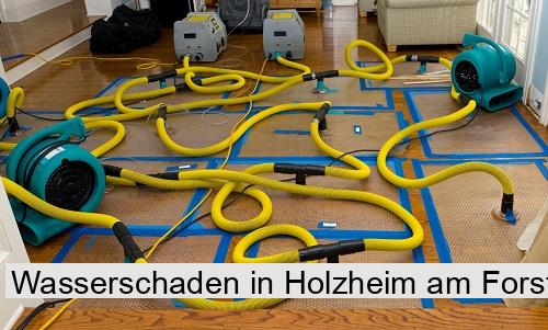 Wasserschaden in Holzheim am Forst