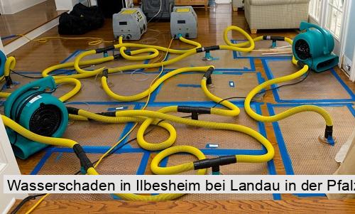 Wasserschaden in Ilbesheim bei Landau in der Pfalz