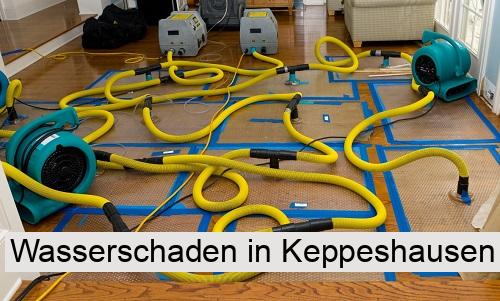 Wasserschaden in Keppeshausen